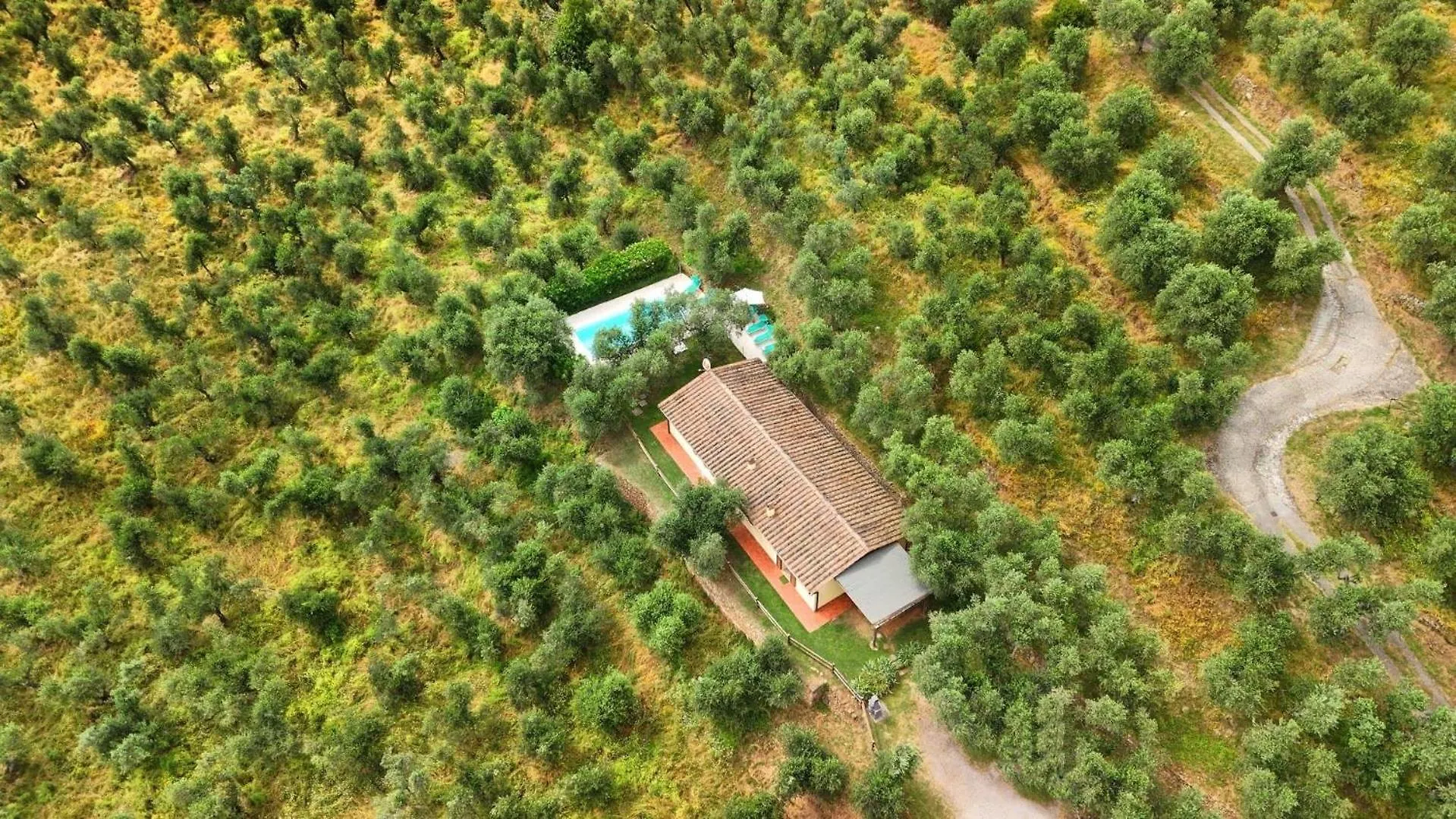 Fico Villa Calci